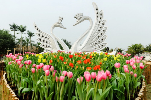 Đôi thiên nga được điêu khắc cầu kỳ với chân đế là các trái tim khổng lồ bằng hoa tulip
